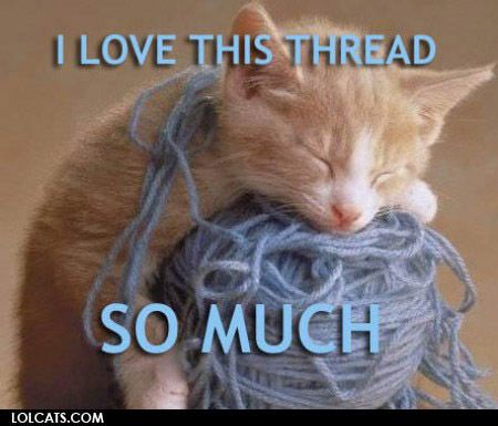 catlovethisthreadlp.jpg